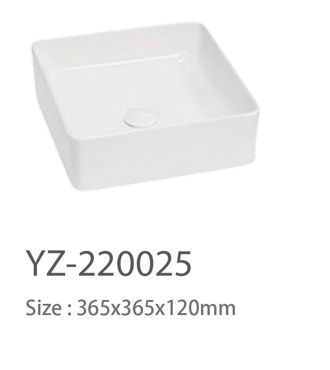 YZ-220025